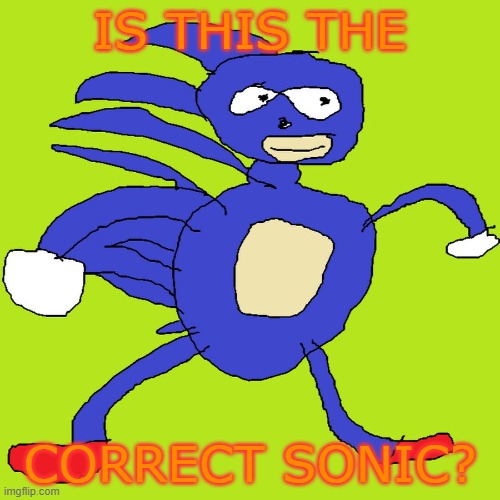 Sanik | IS THIS THE; CORRECT SONIC? | image tagged in sanik | made w/ Imgflip meme maker