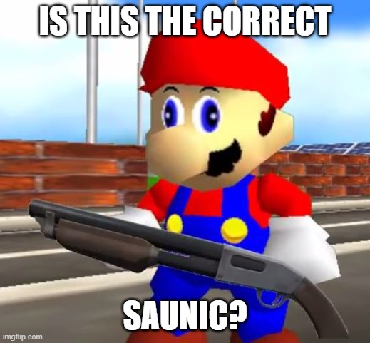 SMG4 Shotgun Mario | IS THIS THE CORRECT; SAUNIC? | image tagged in smg4 shotgun mario | made w/ Imgflip meme maker