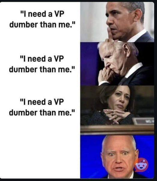 Shit Rolls Downhill Blank Meme Template