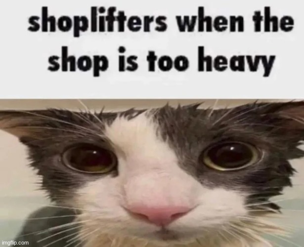 I need yaoi nhgfdsdfghjkjhgfdsdrtyujnbgftyjh I'm going to sleep now its 6 am in Japan bye bhye | made w/ Imgflip meme maker