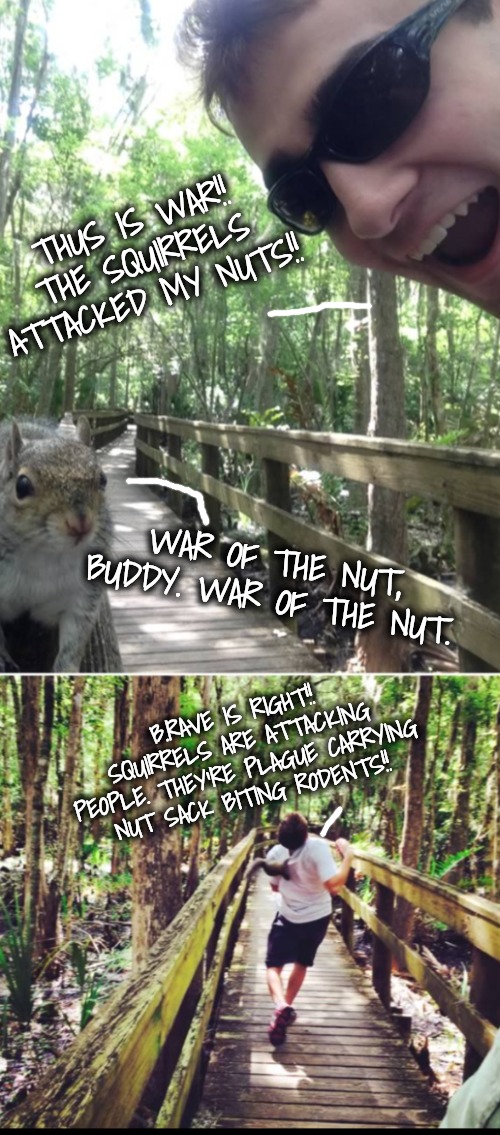 THUS IS WAR!! THE SQUIRRELS ATTACKED MY NUTS!! WAR OF THE NUT, BUDDY. WAR OF THE NUT. B.RAVE IS RIGHT!! SQUIRRELS ARE ATTACKING PEOPLE. THEY | made w/ Imgflip meme maker