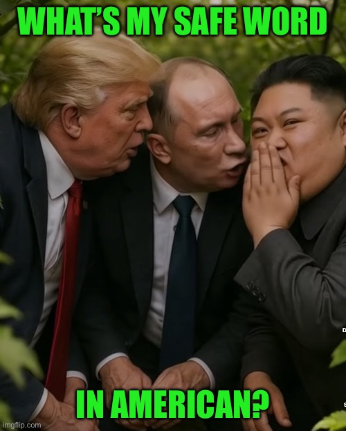 WHAT’S MY SAFE WORD; IN AMERICAN? | made w/ Imgflip meme maker