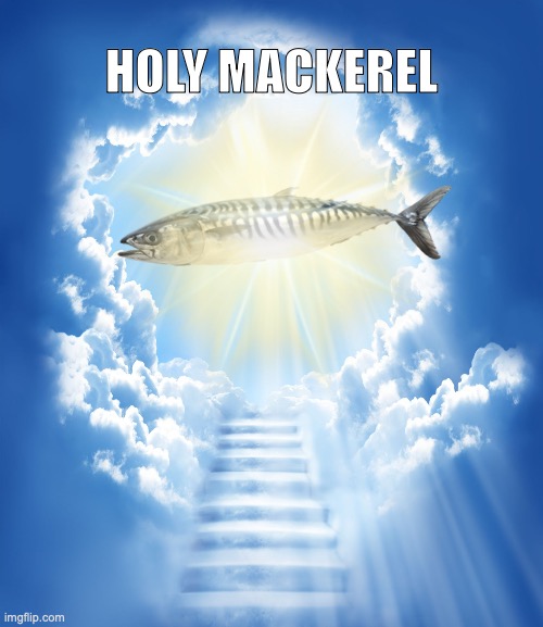 Heaven | HOLY MACKEREL | image tagged in heaven | made w/ Imgflip meme maker