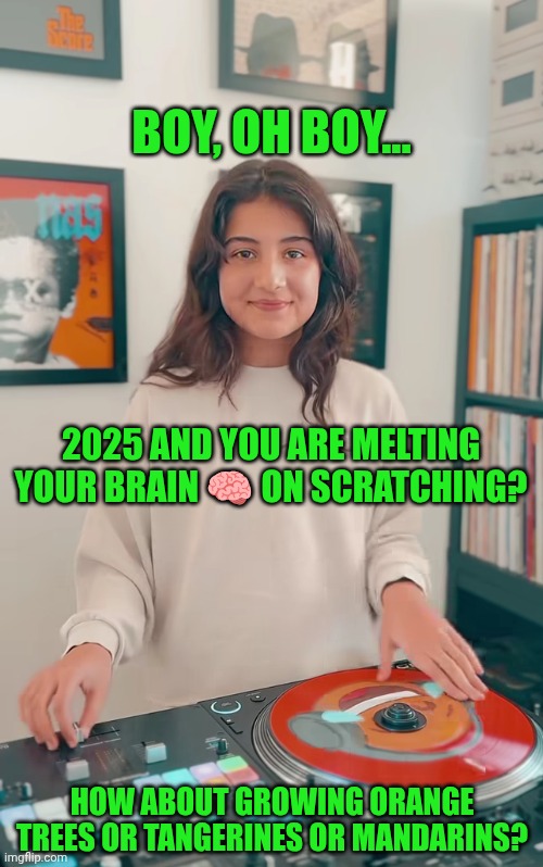 Funny | BOY, OH BOY... 2025 AND YOU ARE MELTING YOUR BRAIN 🧠 ON SCRATCHING? HOW ABOUT GROWING ORANGE TREES OR TANGERINES OR MANDARINS? | image tagged in funny,futuristic utopia,the future world if,trees,dj,waste | made w/ Imgflip meme maker