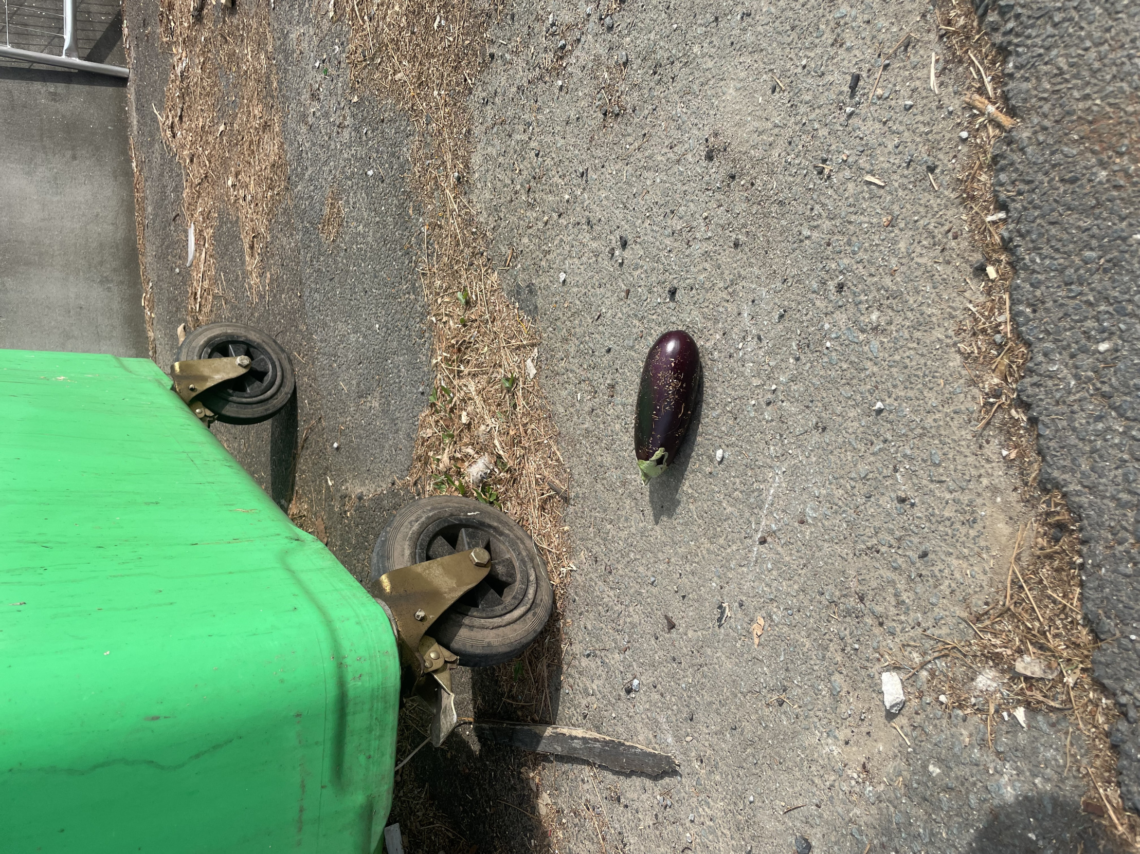 Dirty dick Blank Meme Template