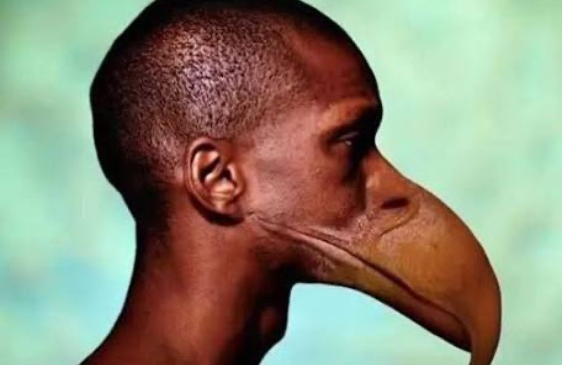 Hubert Jenkins Reservoir II Blank Meme Template