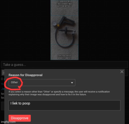 is there smth I can choose other than "other"? im new to moderarot | made w/ Imgflip meme maker