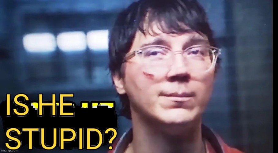 is he stupid? | image tagged in is he stupid | made w/ Imgflip meme maker