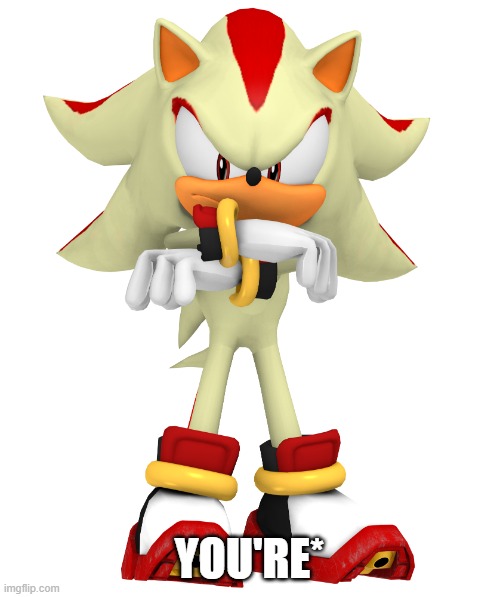 Minor spelling mistake, I win | YOU'RE* | image tagged in minor spelling mistake i win | made w/ Imgflip meme maker