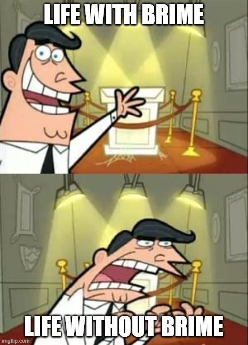 Life with brime | LIFE WITH BRIME LIFE WITHOUT BRIME | image tagged in memes,this is where i'd put my trophy if i had one | made w/ Imgflip meme maker