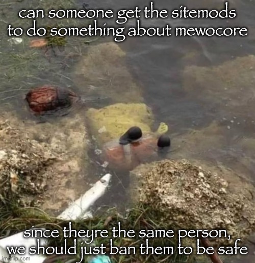 sungerbob | can someone get the sitemods to do something about mewocore; since theyre the same person, we should just ban them to be safe | image tagged in sungerbob | made w/ Imgflip meme maker