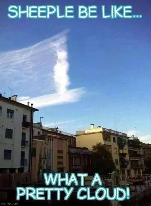 Sheeple | image tagged in chemtrails,genocide,nwo,globalism,weather,psychopaths and serial killers | made w/ Imgflip meme maker