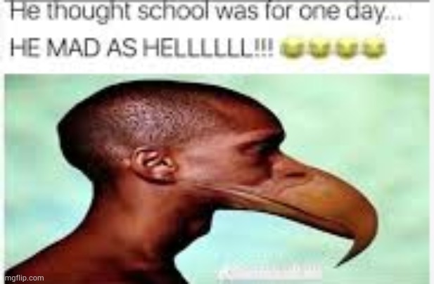 this my circus in the middle of a war | made w/ Imgflip meme maker