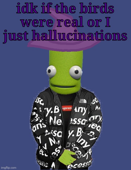 SPOOKY epilektoi drip | idk if the birds were real or I just hallucinations | image tagged in spooky epilektoi drip | made w/ Imgflip meme maker