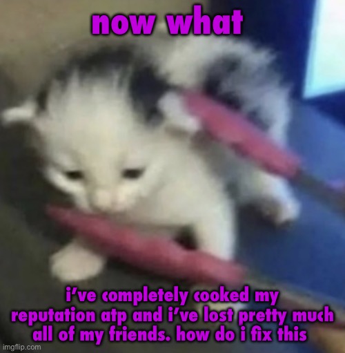 just realized i lost nearly 30 followers too | now what; i’ve completely cooked my reputation atp and i’ve lost pretty much all of my friends. how do i fix this | image tagged in qa | made w/ Imgflip meme maker