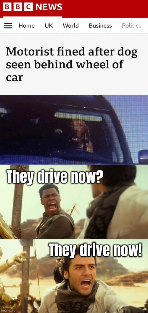 Oh my dog... | They drive now? They drive now! | image tagged in they fly now,dogs,memes | made w/ Imgflip meme maker