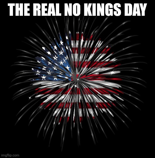 Freedom | THE REAL NO KINGS DAY | image tagged in 4th of july | made w/ Imgflip meme maker