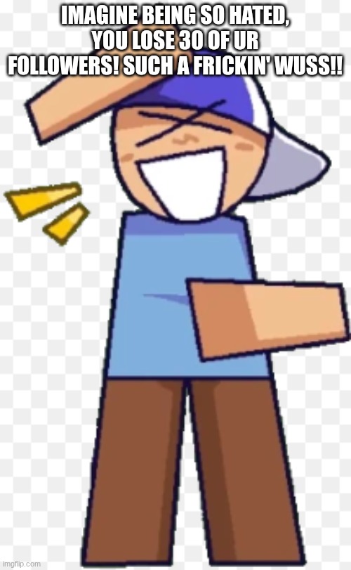 taunt! | IMAGINE BEING SO HATED, YOU LOSE 30 OF UR FOLLOWERS! SUCH A FRICKIN' WUSS!! | image tagged in taunt | made w/ Imgflip meme maker