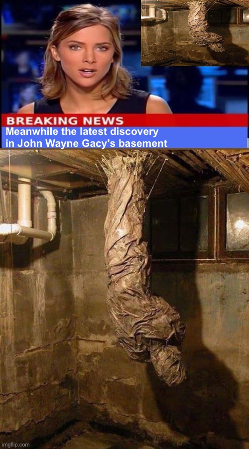 Meanwhile In John Wayne Gacy's Basement | Meanwhile the latest discovery in John Wayne Gacy's basement | image tagged in psychopaths and serial killers,basement,dark humour,dark humor,breaking news,meanwhile in | made w/ Imgflip meme maker