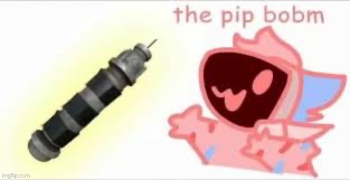 the pip bobm | image tagged in the pip bobm | made w/ Imgflip meme maker