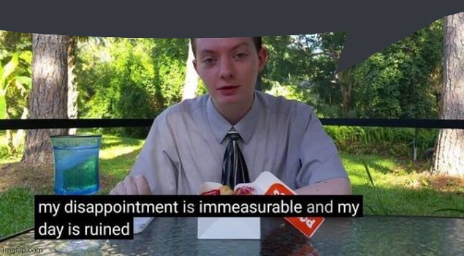 my day is ruined and my disappointment is immeasurable | image tagged in my day is ruined and my disappointment is immeasurable | made w/ Imgflip meme maker