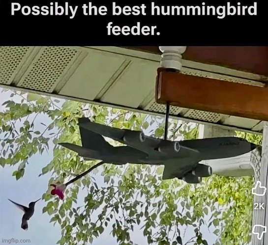 I NEED | made w/ Imgflip meme maker