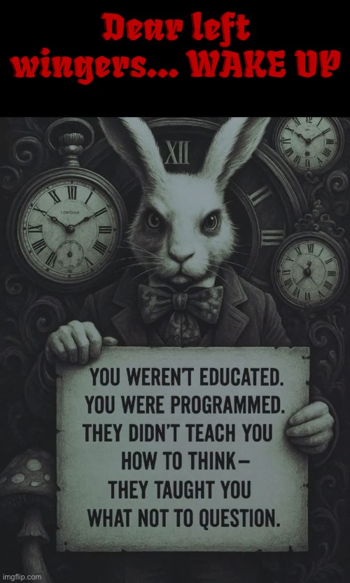 What Not To Question | Dear left wingers... WAKE UP | image tagged in education,brainwashed,mind control,leftists,liberal media,psychopaths and serial killers | made w/ Imgflip meme maker