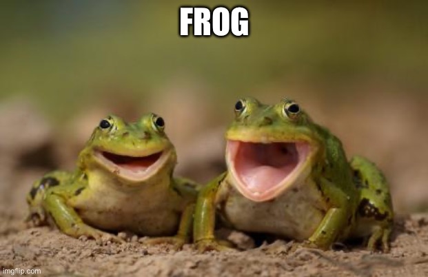 Frogs | FROG | image tagged in two happy frogs | made w/ Imgflip meme maker
