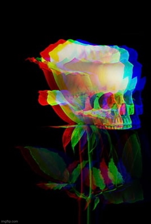 Trippy Skull Rose | image tagged in trippy,skulls,roses,surrealism,art,goth | made w/ Imgflip meme maker