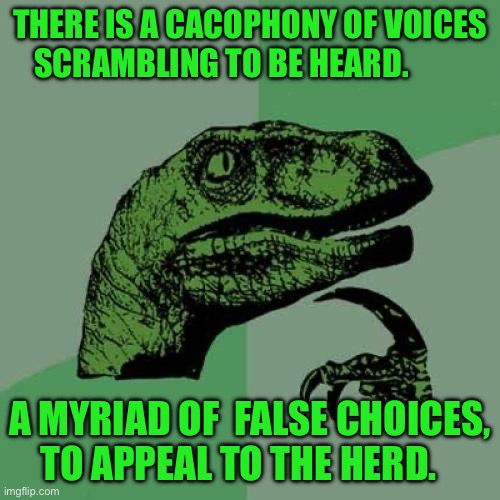 Philosoraptor | THERE IS A CACOPHONY OF VOICES SCRAMBLING TO BE HEARD. A MYRIAD OF  FALSE CHOICES, TO APPEAL TO THE HERD. | image tagged in memes,philosoraptor | made w/ Imgflip meme maker