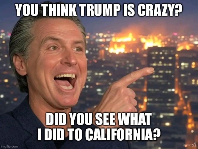 Gavin Newsome California Fire | YOU THINK TRUMP IS CRAZY? DID YOU SEE WHAT I DID TO CALIFORNIA? | image tagged in gavin newsome california fire | made w/ Imgflip meme maker