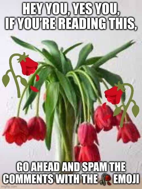 SPAM THE COMMENTS WITH THE WILTED FLOWER EMOJIIIII | HEY YOU, YES YOU, IF YOU’RE READING THIS, GO AHEAD AND SPAM THE COMMENTS WITH THE 🥀 EMOJI | image tagged in wilted flowers,emoji,spam,funny,flowers,memes | made w/ Imgflip meme maker