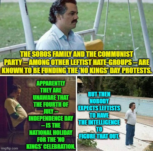 Dear leftists . . . grow better brain cells. | APPARENTLY THEY ARE UNAWARE THAT THE FOURTH OF JULY -- INDEPENDENCE DAY -- IS THE NATIONAL HOLIDAY FOR THE 'NO KINGS' CELEBRATION. THE SOROS FAMILY AND THE COMMUNIST PARTY -- AMONG OTHER LEFTIST HATE-GROUPS -- ARE KNOWN TO BE FUNDING THE 'NO KINGS' DAY PROTESTS. BUT THEN NOBODY EXPECTS LEFTISTS TO HAVE THE INTELLIGENCE TO FIGURE THAT OUT. | image tagged in forever alone | made w/ Imgflip meme maker