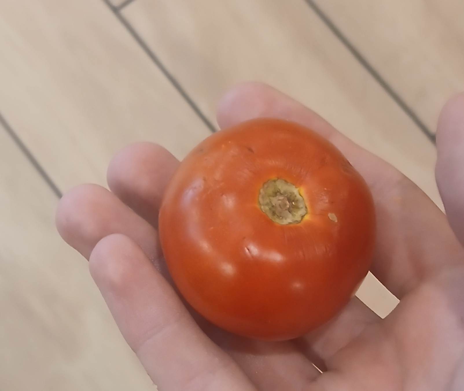 Tomato Blank Meme Template