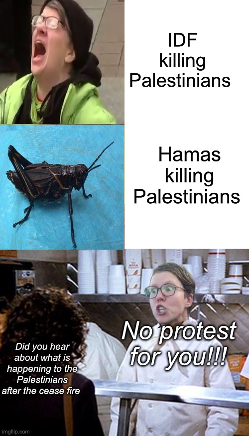 So the protesters don’t hate the other group | IDF killing Palestinians; Hamas killing Palestinians; No protest for you!!! Did you hear about what is happening to the Palestinians after the cease fire | image tagged in memes,drake hotline bling,soup nazi,politics lol | made w/ Imgflip meme maker