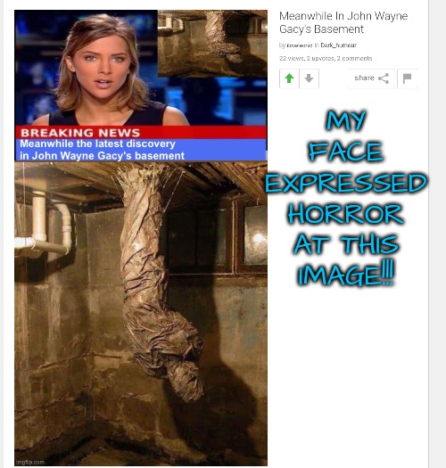 MY FACE EXPRESSED HORROR AT THIS IMAGE!!! | made w/ Imgflip meme maker
