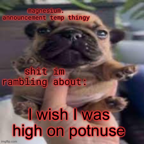 pug temp | I wish I was high on potnuse | image tagged in pug temp | made w/ Imgflip meme maker
