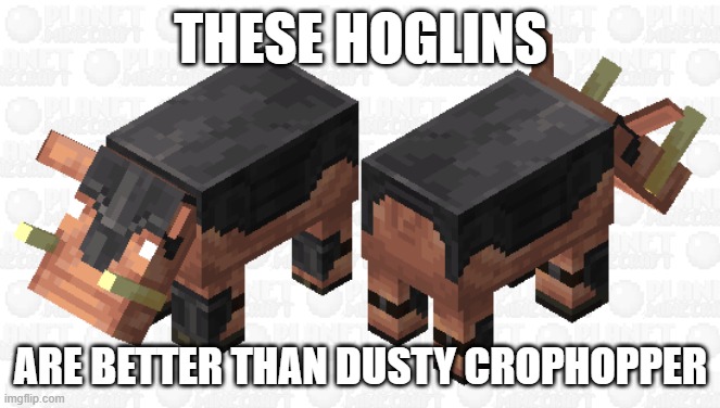 Hoglins Wearing Netherite Armor | THESE HOGLINS; ARE BETTER THAN DUSTY CROPHOPPER | image tagged in hoglins wearing netherite armor | made w/ Imgflip meme maker