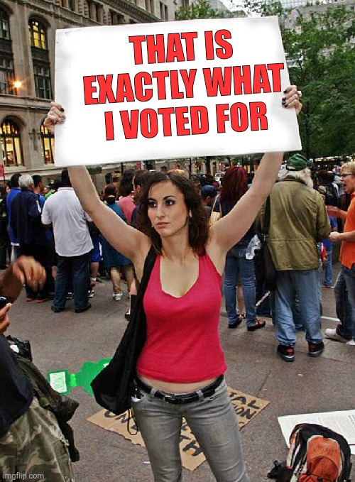 THAT IS EXACTLY WHAT I VOTED FOR | image tagged in proteste | made w/ Imgflip meme maker