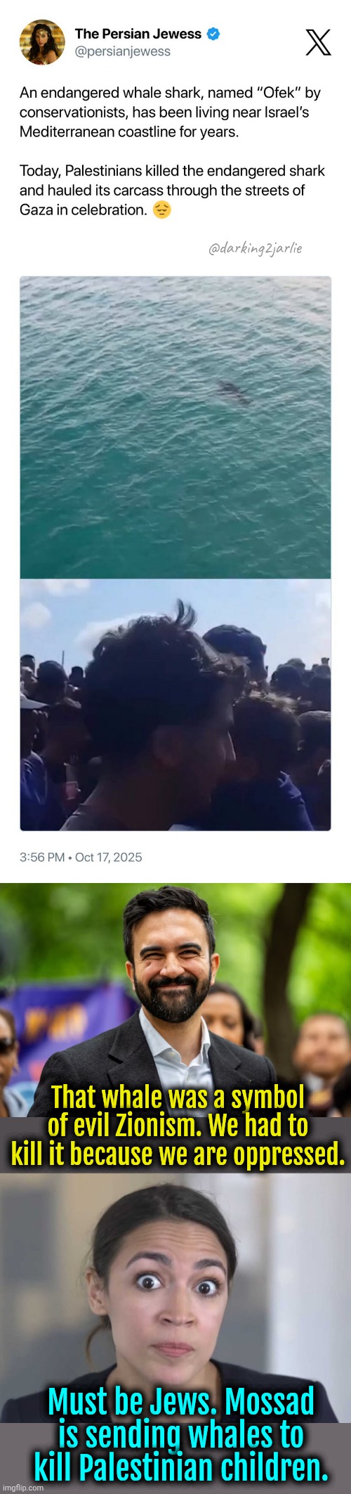 Hamas represents the people of Palestine. | @darking2jarlie; That whale was a symbol of evil Zionism. We had to kill it because we are oppressed. Must be Jews. Mossad is sending whales to kill Palestinian children. | image tagged in palestine,islamic terrorism,israel,jews,satire | made w/ Imgflip meme maker