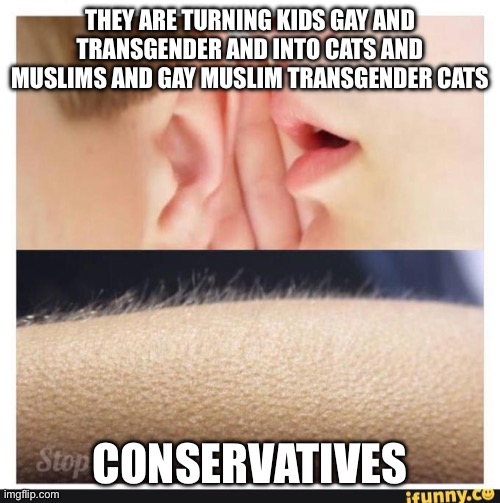 Hair stand up | THEY ARE TURNING KIDS GAY AND TRANSGENDER AND INTO CATS AND MUSLIMS AND GAY MUSLIM TRANSGENDER CATS CONSERVATIVES | image tagged in hair stand up | made w/ Imgflip meme maker
