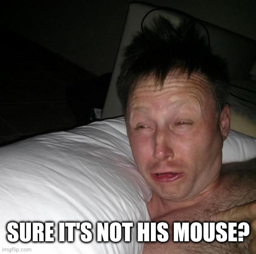 Limmy waking up | SURE IT'S NOT HIS MOUSE? | image tagged in limmy waking up | made w/ Imgflip meme maker