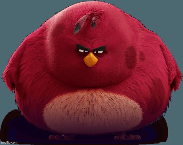 Angry Birds - Terence | image tagged in angry birds - terence | made w/ Imgflip meme maker