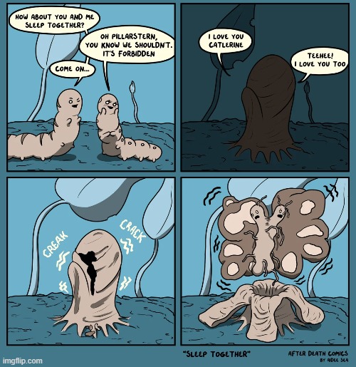 image tagged in caterpillars,cocoon,butterfly,conjoined,bodies,wtf | made w/ Imgflip meme maker