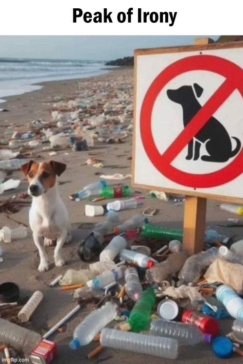 Dogs are not the Problem | image tagged in funny,sad,dog,climbing,lattice climbing,freeclimbing | made w/ Imgflip meme maker