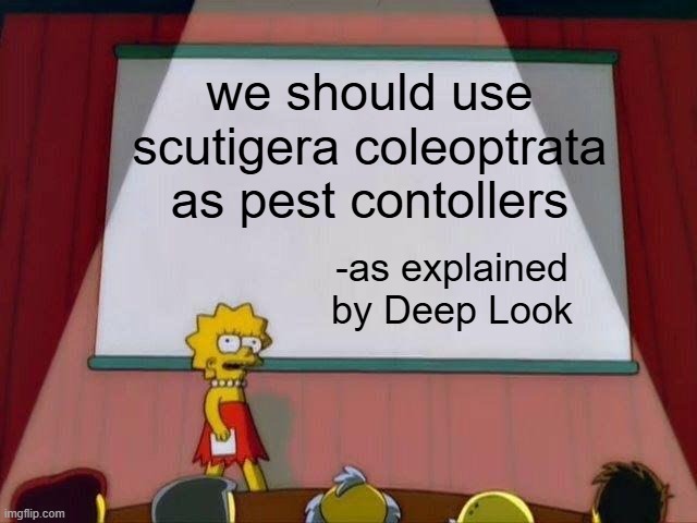 scutigera coleoptrata | we should use scutigera coleoptrata as pest contollers; -as explained by Deep Look | image tagged in lisa simpson's presentation,memes,biology | made w/ Imgflip meme maker