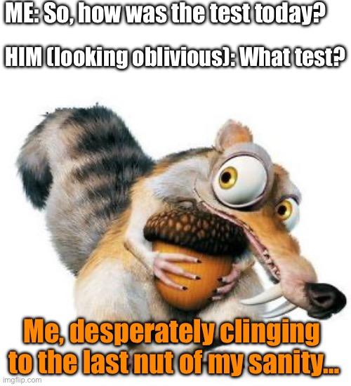 Scrat - nuts - test | ME: So, how was the test today? HIM (looking oblivious): What test? Me, desperately clinging 
to the last nut of my sanity… | image tagged in scrat weekend ice age,homework,school,parents,kids,scrat | made w/ Imgflip meme maker