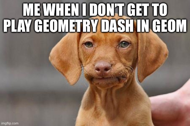 Dissapointed puppy | ME WHEN I DON’T GET TO PLAY GEOMETRY DASH IN GEOMETRY CLASS | image tagged in dissapointed puppy | made w/ Imgflip meme maker
