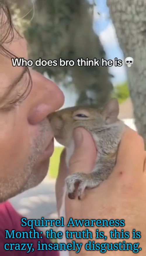 Does he kiss his mother with that same mouth?! | Squirrel Awareness Month: the truth is, this is crazy, insanely disgusting. | image tagged in how disgusting,insanity gone rampant | made w/ Imgflip meme maker