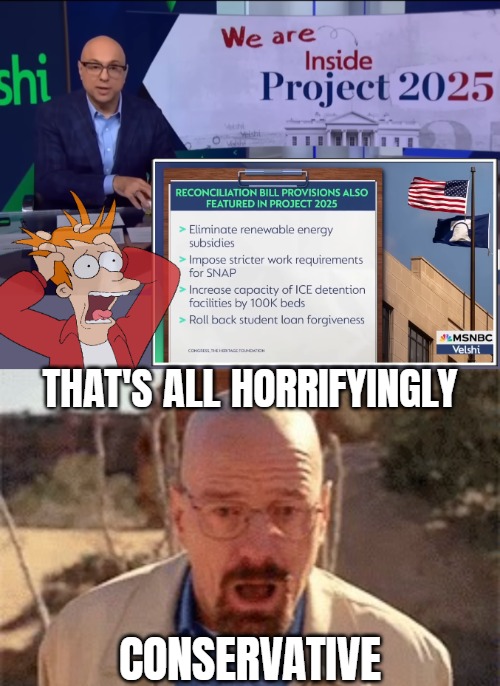 Except from abortion it all sounds neat | THAT'S ALL HORRIFYINGLY; CONSERVATIVE | image tagged in fry freaking out,american politics,trump derangement syndrome,liberal media,walter white | made w/ Imgflip meme maker